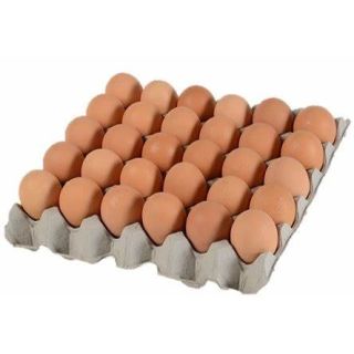 Large eggs 30